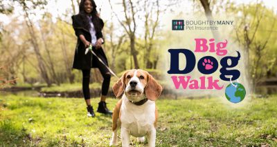 Virtual Big Dog Walk 2020 details revealed